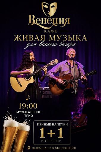 Музыкальный дуэт Трио