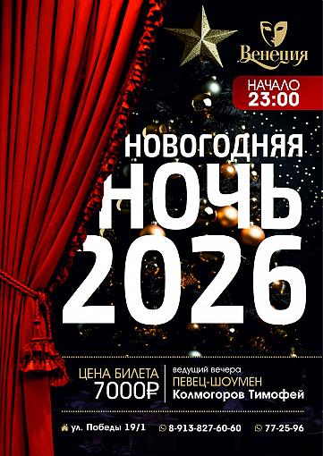 Новогодняя ночь